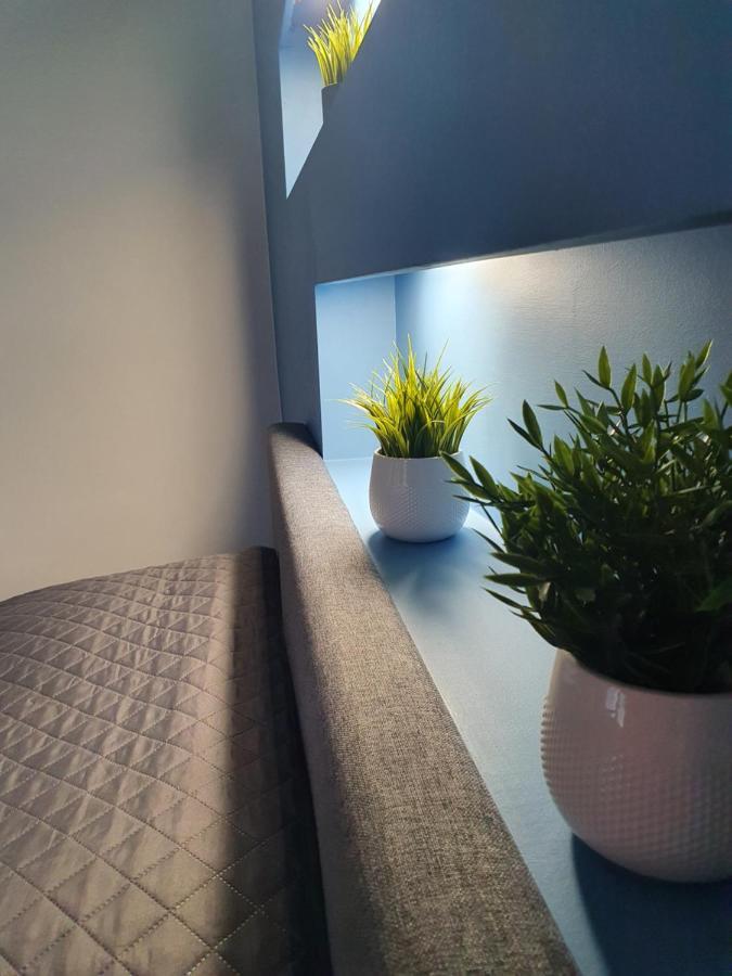 Cesu Majas Rigas Iela Apartment แซซิส ภายนอก รูปภาพ